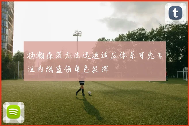 杨瀚森若无法迅速适应体系可先专注内线蓝领角色发挥