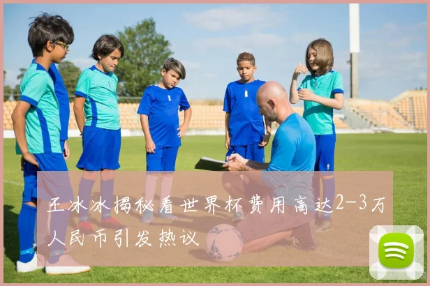 王冰冰揭秘看世界杯费用高达2-3万人民币引发热议