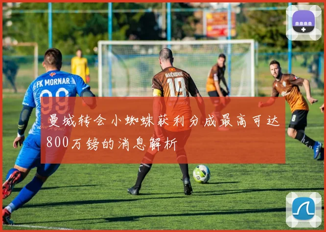曼城转会小蜘蛛获利分成最高可达800万镑的消息解析